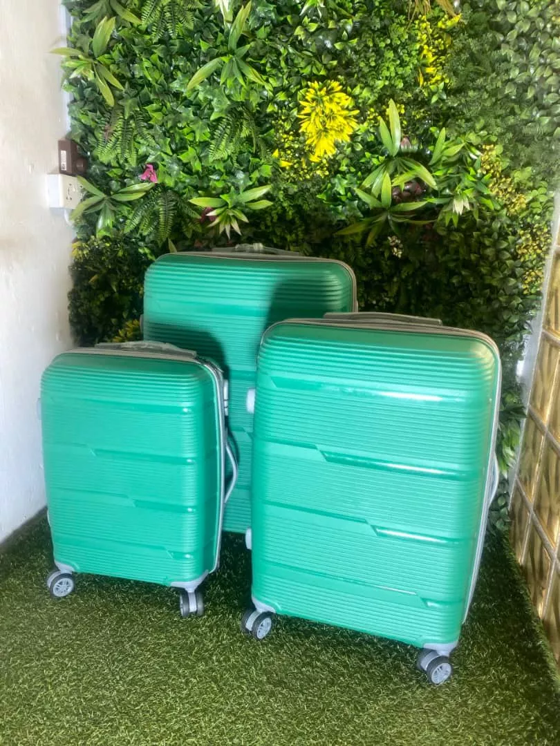 Taio Fenq Luggage Set