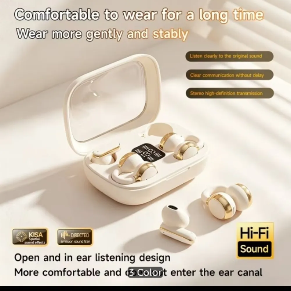 2 in 1 earbud Bluetooth
